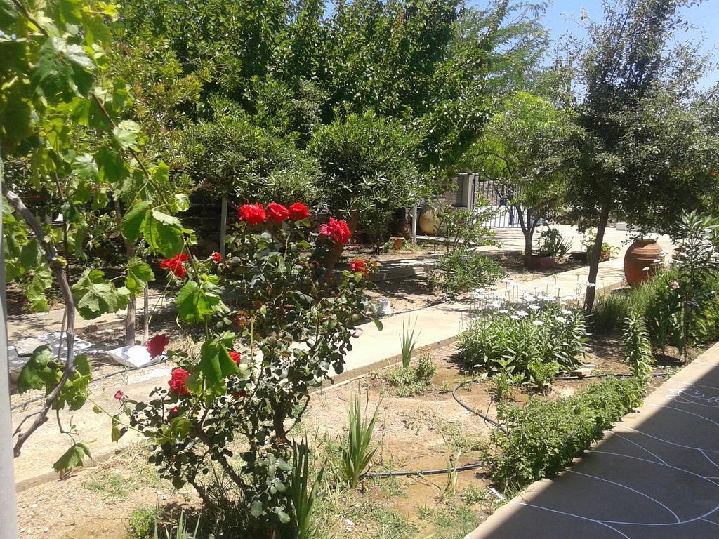 Appartement Aegean Harmony à Platis Gialos  Extérieur photo