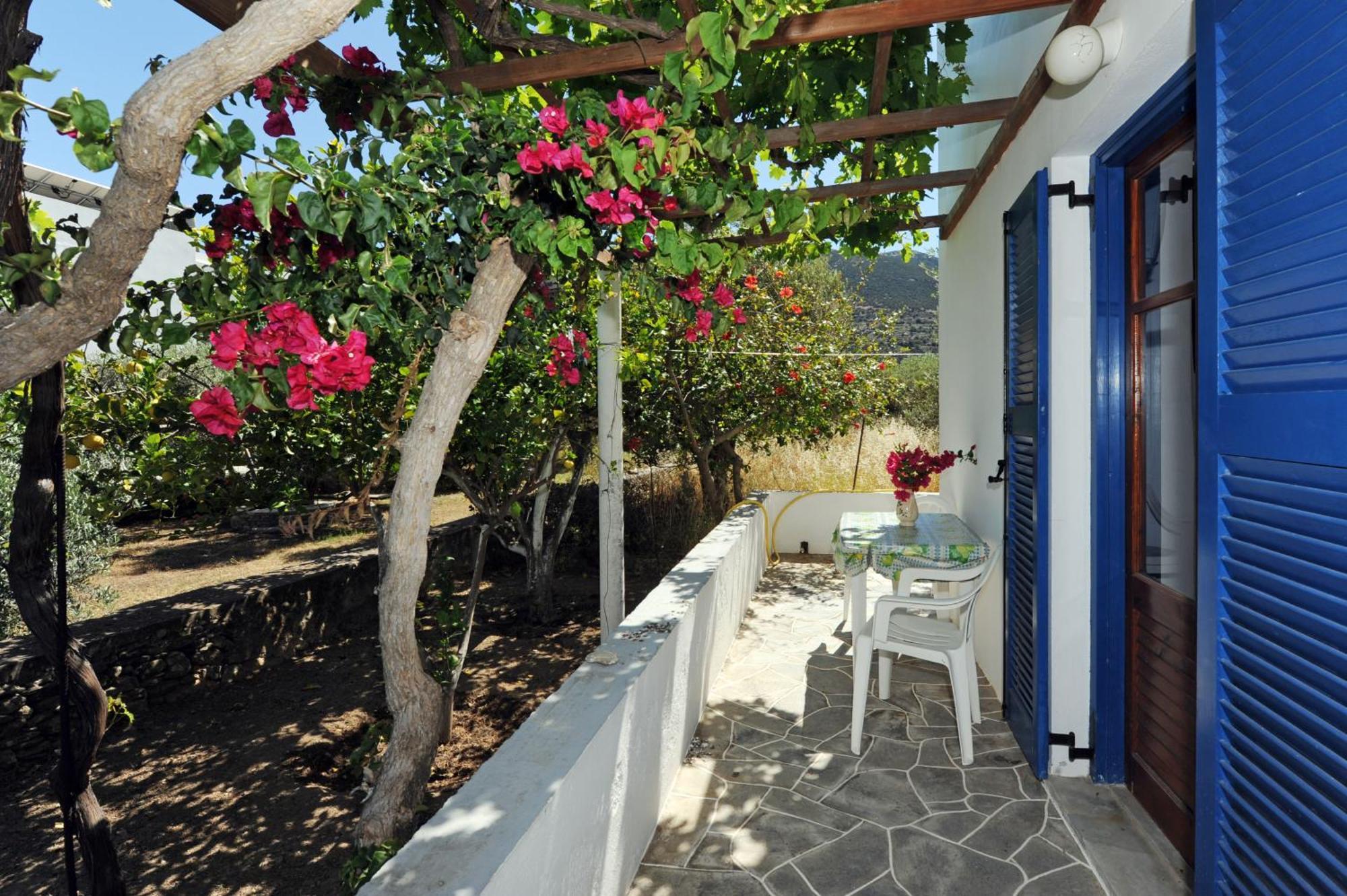 Appartement Aegean Harmony à Platis Gialos  Extérieur photo